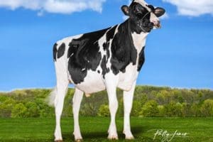 McDavid PP