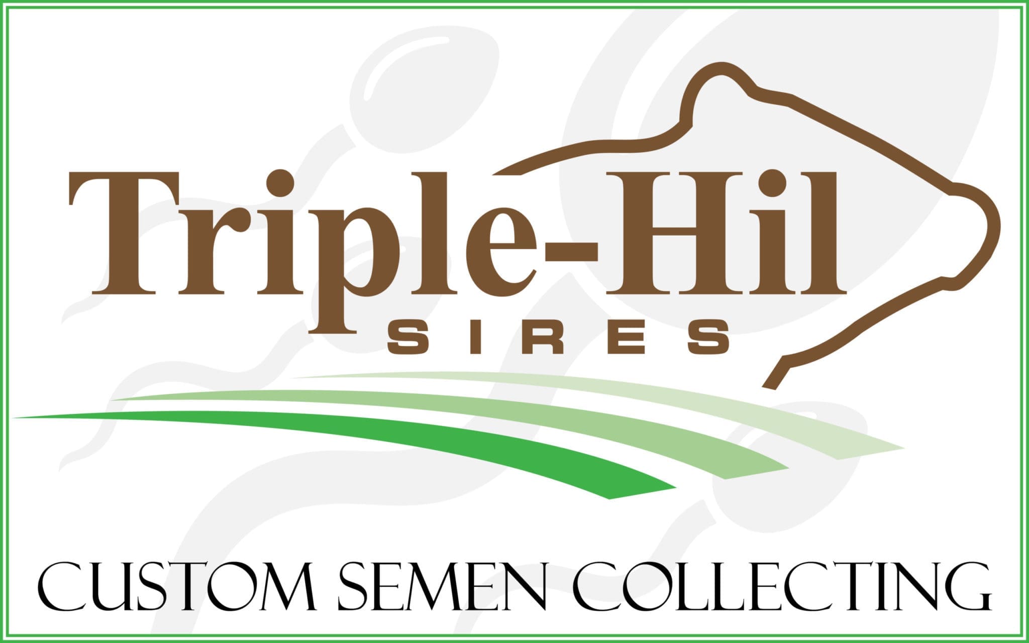 Triple-Hil Sires — Custom Semen Collecting